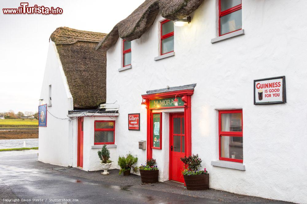 Immagine Il Moran's Oyster Cottage si trova a Kilcolgan, appena a sud di Clarinbridge in Irlanda - © David Steele / Shutterstock.com