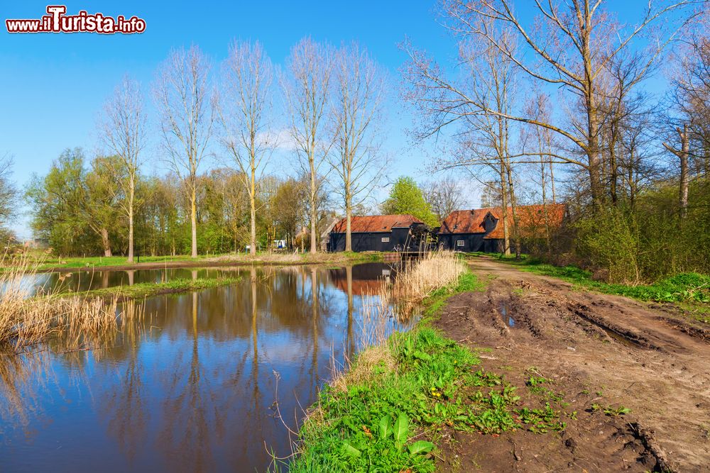 Immagine Il mulino di Kollen vicino a Nuenen nei Paesi Bassi