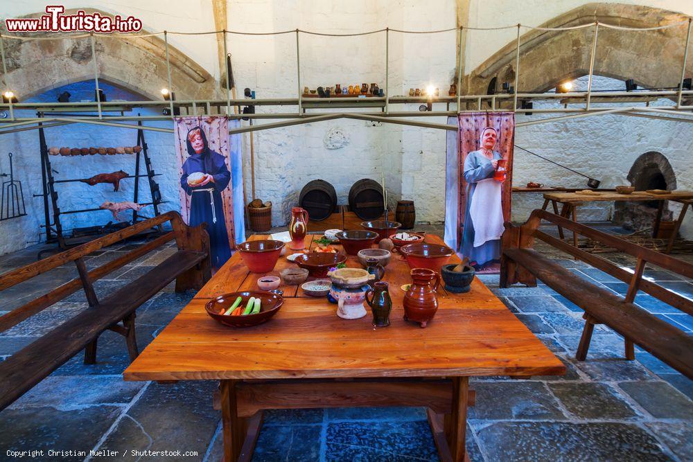 Immagine Il museo dell'Abbazia di Glastonbury, Inghilterra - © Christian Mueller / Shutterstock.com