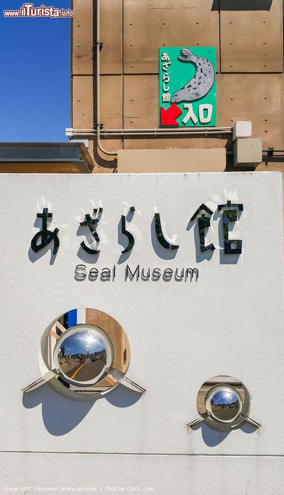 Immagine Il museo delle foche allo zoo di Asahikawa, isola di Hokkaido, Giappone - © Vassamon Anansukkasem / Shutterstock.com