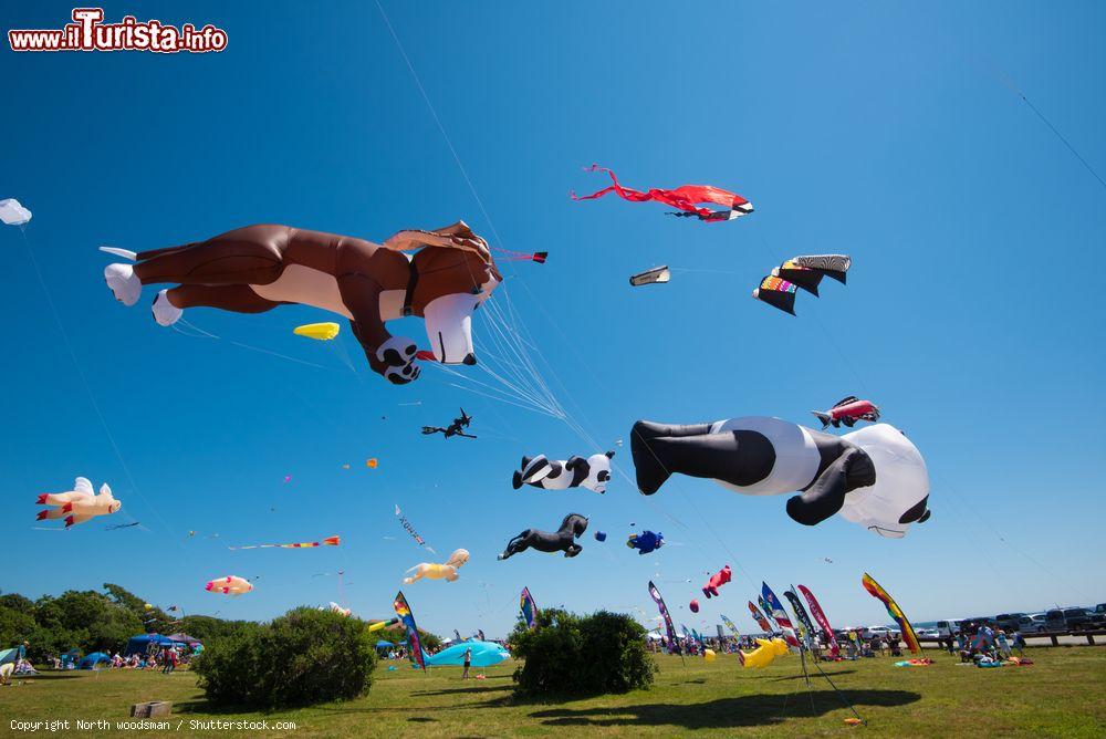 Immagine Il Newport Kite Festival a Rhode Island, USA. Si svolge ogni anno il secondo fine settimana di luglio nel parco statale di Brenton Point e raduna centinaia di persone appassionate di aquiloni - © North woodsman / Shutterstock.com