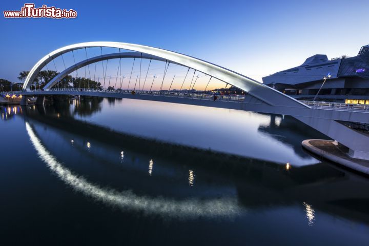 Immagine Il nuovo ponte Raymond Barre sul fiume Rodano di notte, Lione, Francia. Dedicato al politico e economista francese Raymond Barre, ex sindaco di Lione, questo ponte ad arco è stato costruito fra il 2011 e il 2013 - © prochasson frederic / Shutterstock.com