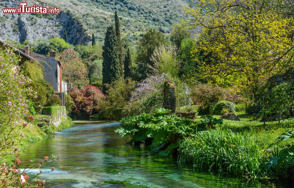 Immagine Il paesaggio bucolico di Cisterna di Latina nel Lazio.