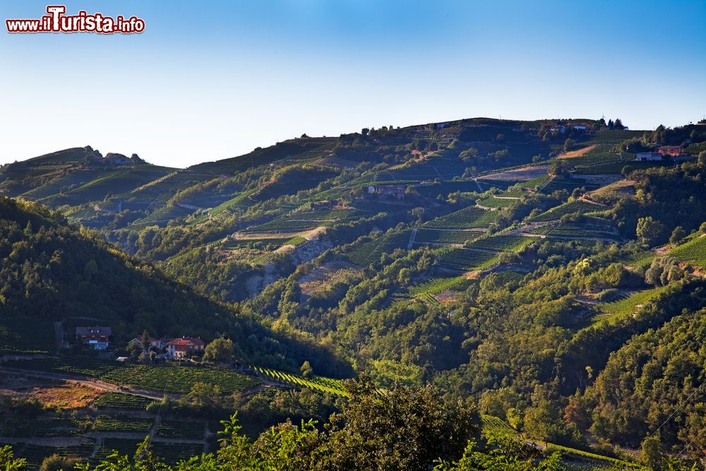 Immagine Il paesaggio collinare intorno a COssan Belbo in Piemonte