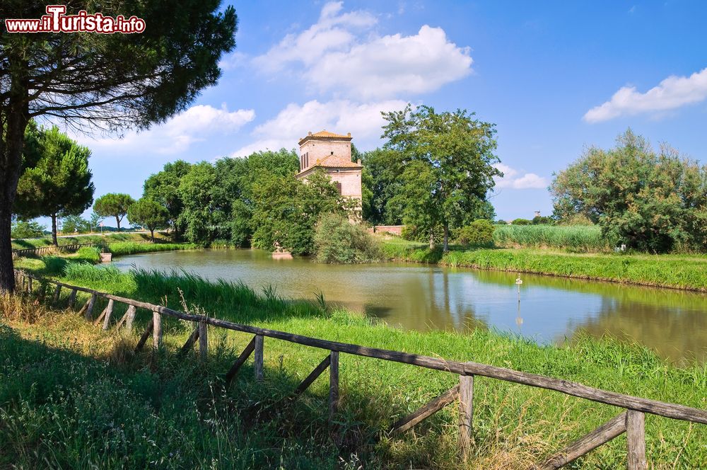 Immagine Il paesaggio del parco del Delta del Po a Mesola, Torre Abate (Emilia-Romagna).