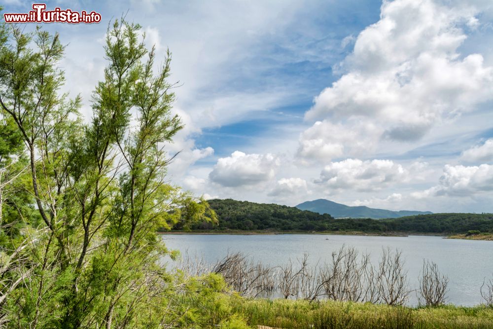 Immagine Il paesaggio del lago di Baratz nel comune di Sassari, unico lago naturale con acqua dolce di tutta la Sardegna.