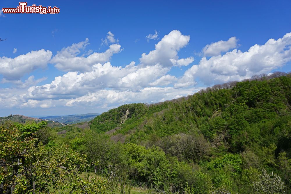 Immagine Il paesaggio della Maremma in Toscana nei pressi di Seggiano