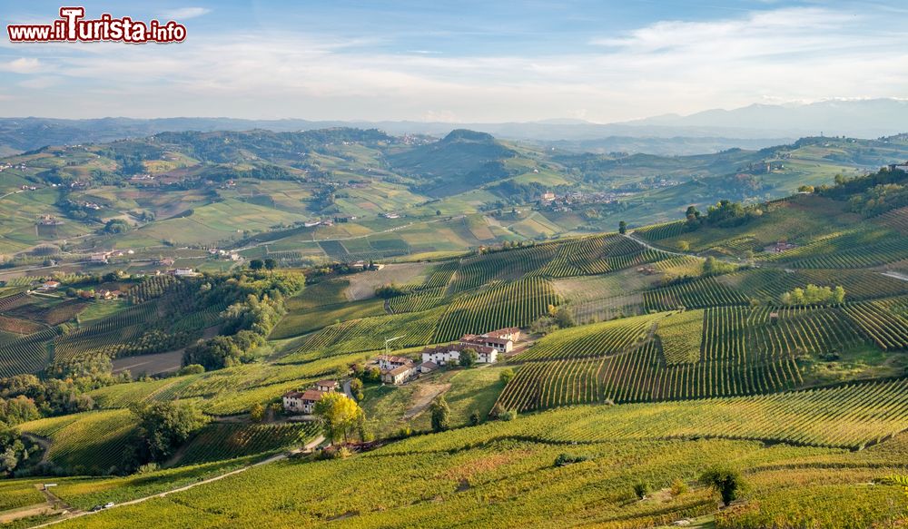 Immagine Il paesaggio denso di vigneti tra le Langhe e il Roero in Piemonte