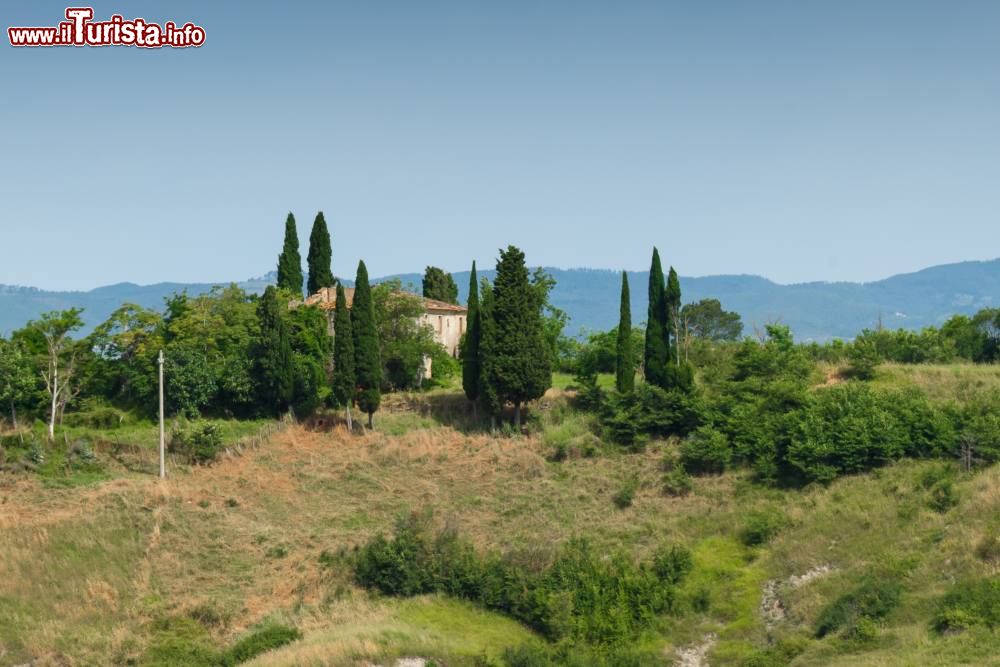 Immagine Il paesaggio dolce delle colline senesi intoerno a Rapolano Terme, Toscana
