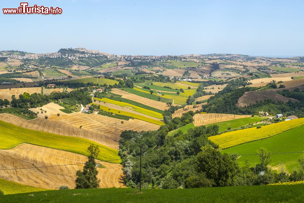 Immagine Il paesaggio estivo delle colline intorno a Fermo, nelle Marche.