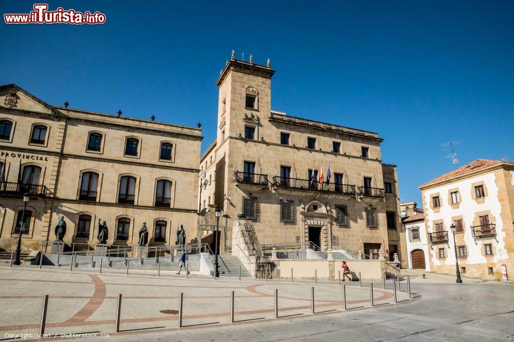 Immagine Il palazzo che ospita la Delegacion de Economia y Hacienda de Soria, Spagna - © jcami / Shutterstock.com