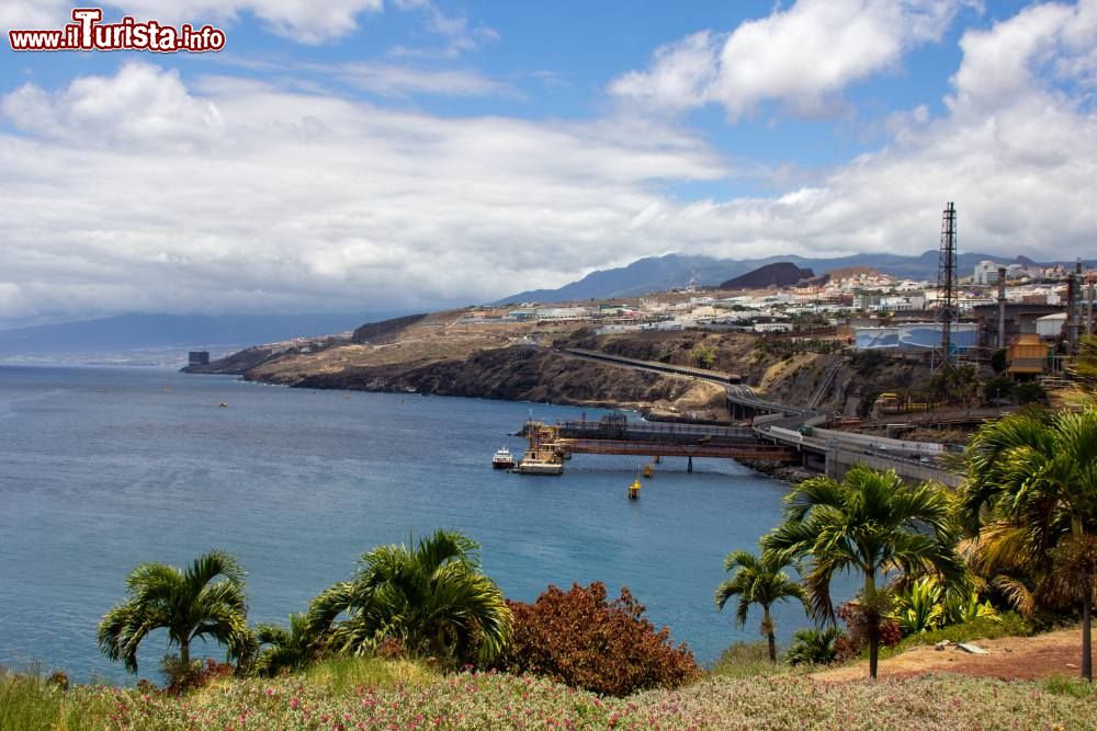 Immagine Il Palmetum di Santa Cruz de Tenerife, Isole Canarie - © Mike Peel / wikipedia