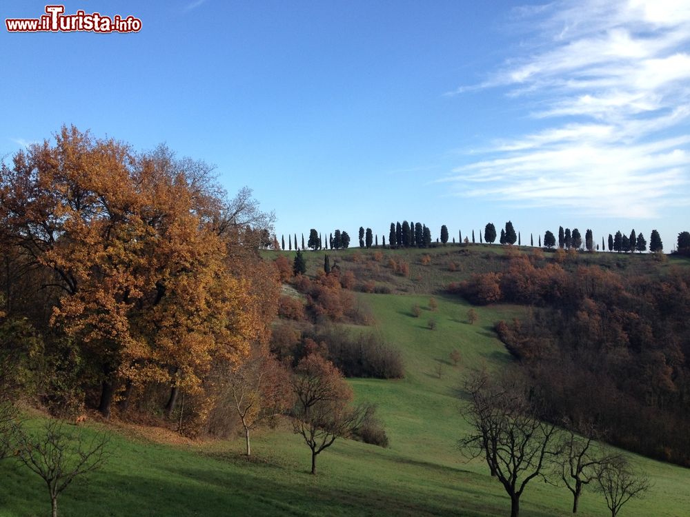 Immagine Il Parco dei Gessi alla periferia di San Lazzaro di Savena, sui Colli Bolognesi in Emilia