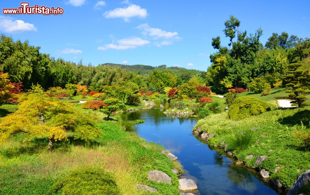 Immagine Il parco della Bambouseraie nei pressi di Anduze, Francia: si tratta di un giardino botanico privato specializzato in bambù. Sorge a Générargues, nel cuore delle Cevennes.