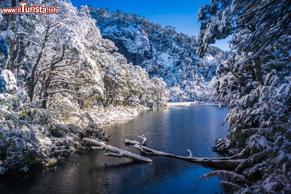 Immagine Il Parco Nazionale Huerquehue innevato, Pucon, Cile. Comprende un'area di 125 chilometri quadrati di terreno montuoso e ha un'altitudine che varia da 720 a 2000 metri. Istituito ufficialmente nel 1967,  ha origini che risalgono a una cinquantina di anni prima.