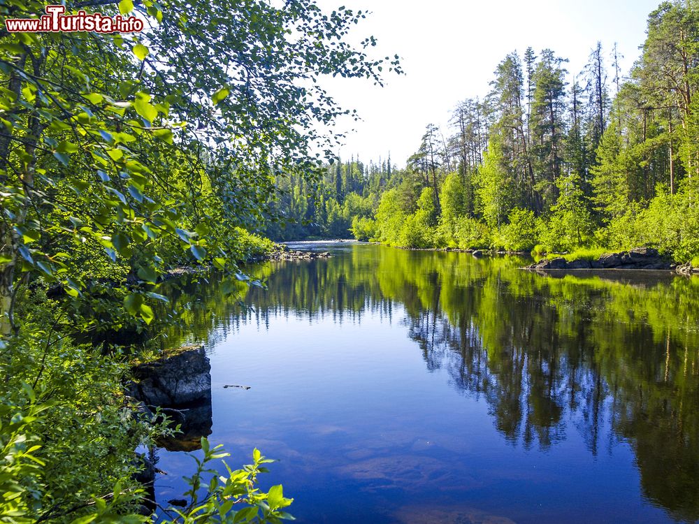 Immagine Il Parco Nazionale Oulanka in Finlandia, fotografato in estate