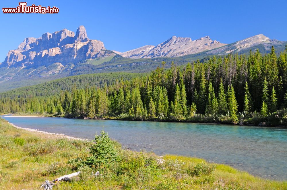 Immagine Il pittoresco Mount Revelstoke National Park, British Columbia (Canada).