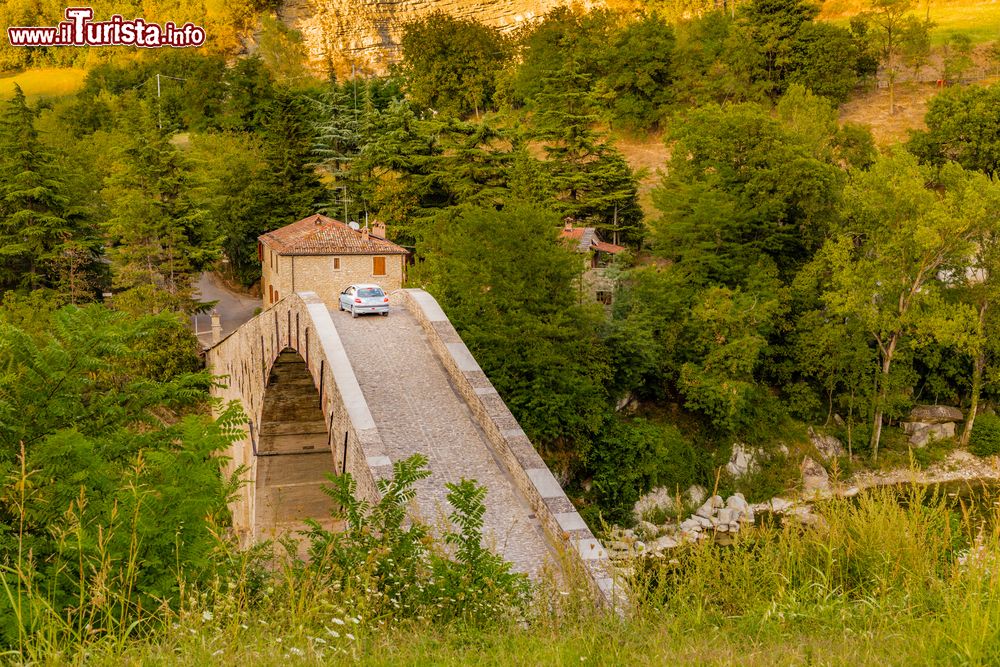 Immagine Il ponte medievale sul fiume Santerno fotografato da Castel del Rio