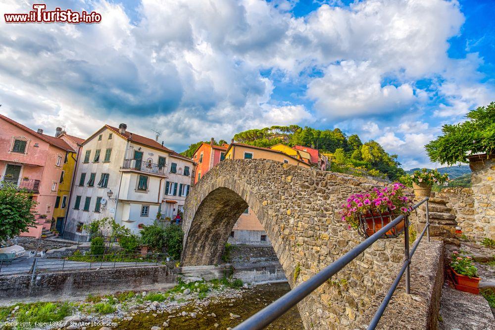 Immagine Il ponte romano di Varese Ligure, borgo dello spezzino sulla Riviera di Ponente in Liguria - © faber1893 / Shutterstock.com
