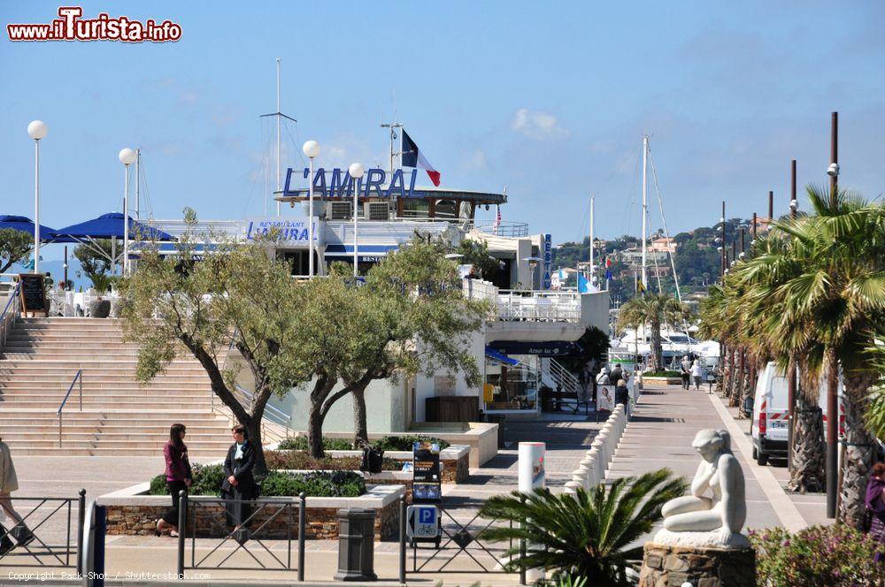 Immagine Il porto di Sainte-Maxime, Francia. Dotato di 4 pontili, ha una capienza di circa 800 barche - © Pack-Shot / Shutterstock.com