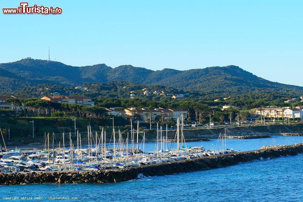 Immagine Il porto di Six-Fours-les-Plages, arcipelago delle Embiez, Francia. La costruzione di questo porticciolo turistico, spesso gremito di barche e yacht, risale al 1960 - © Attila JANDI / Shutterstock.com