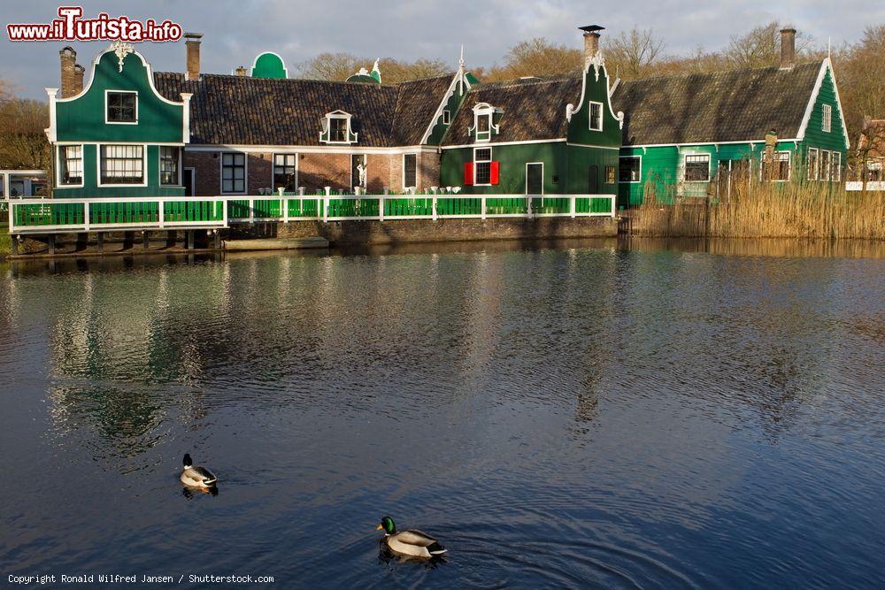 Immagine Il quartiere di Zaanse all'Open Air Museum di Arnhem, Olanda. Fondato nel 1912, questo museo-parco è dedicato alla cultura associata alla vita quotidiana della gente - © Ronald Wilfred Jansen / Shutterstock.com