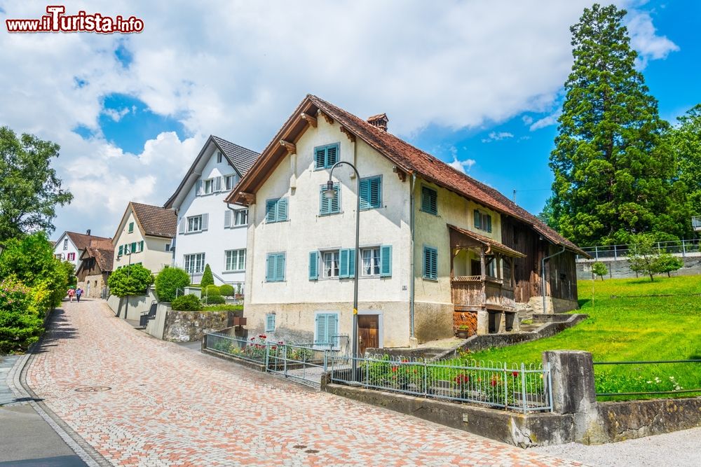 Immagine Il quartiere residenziale di Mitteldorf a Vaduz, capitale del Liechtenstein.