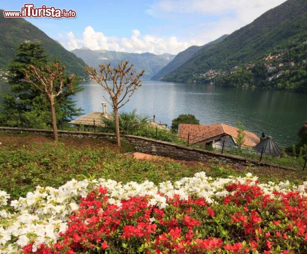 Immagine Il ramo occidentale del lago di Como fotografato dal comune di Faggeto Lario - © Zocchi Roberto / Shutterstock.com