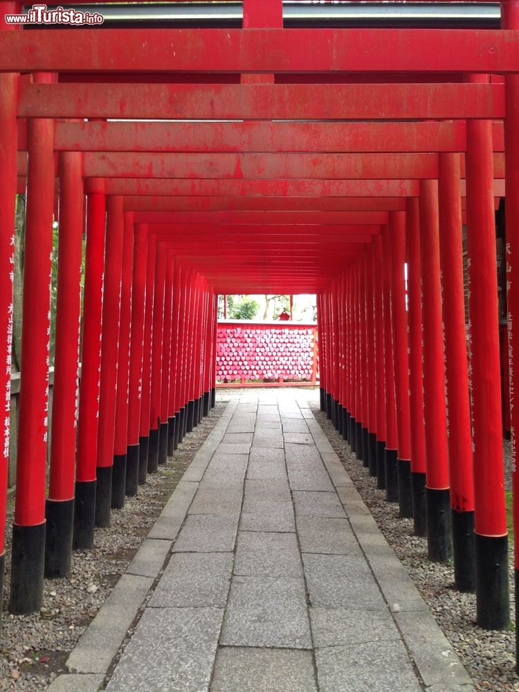 Immagine Il santuario Sanko Inari al castello di Inuyama, Giappone. Si trova presso l'entrata del parco della fortezza ed è conosciuto anche come Sarutahiko-jinja. E' un luogo di culto ricco di storia.