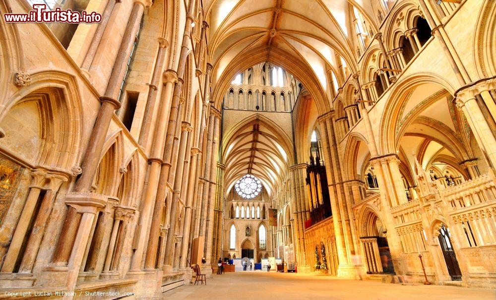 Immagine Il sontuoso interno della cattedrale di Lincoln, Inghilterra, la terza più grande del paese - © Lucian Milasan / Shutterstock.com