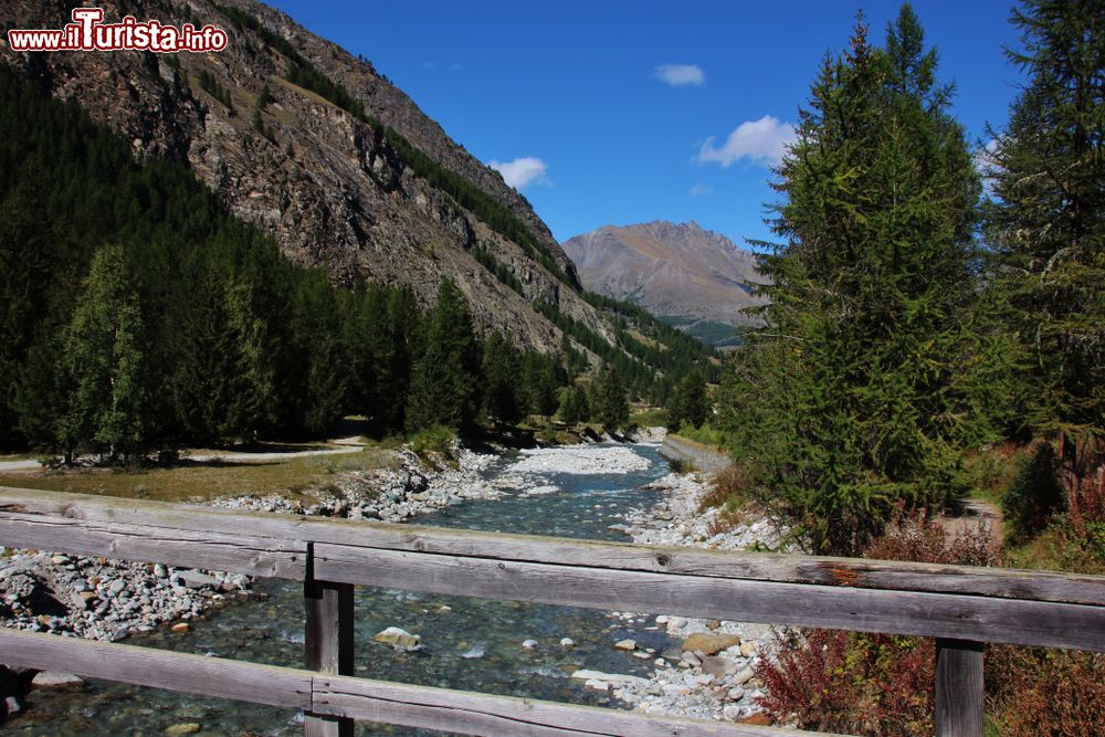 Immagine Il torrente Valnontey a Cogne, Parco Nazionale del Gran Paradiso, Valle d'Aosta. E' un affluente della Grand Eyvia, a sua volta affluente di destra della Dora Baltea.