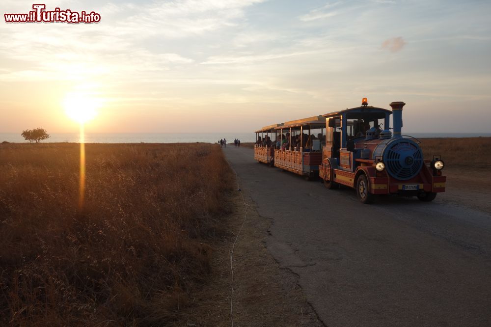 Immagine Il trenino grauito che accompagna i turisti tra le 4 spiagge della baia di Baia Santa Margherita, a Castelluzzo di San Vito Lo Capo (Sicilia).