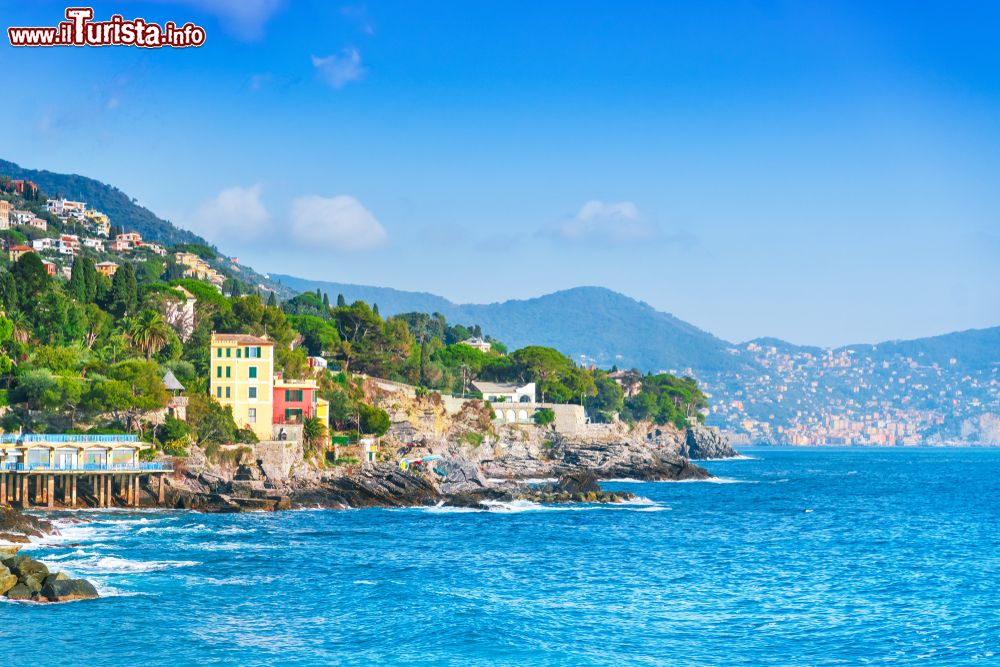 Immagine Il villaggio di pescatori di Bogliasco, Liguria. Questo grazioso Comune si trova a pochi chilometri da Genova in direzione della Riviera Ligure di Levante. Si affaccia sul Mar Tirreno ed è protetto da un'insenatura naturale.