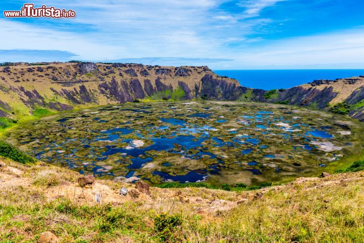 Immagine Il vulcano Rano Kau sull'isola di Pasqua, Cile, Sud America. In realtà si tratta di un lago che occupa il cratere di un vulcano pieno di canneti e fiori colorati - © 240203872 / Shutterstock.com