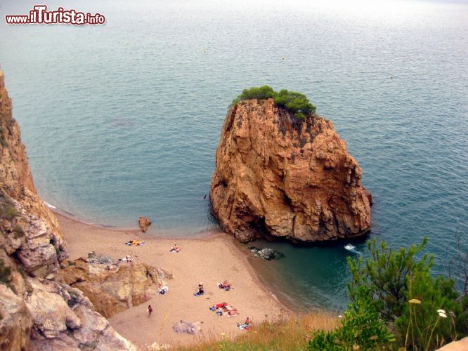 Immagine La spiaggia di Illa Roja (Isola Rossa) è frequentata prevalentemente da nudisti. Si trova tra i paesi di Begur ed Els Masos de Pals in Costa Brava, Spagna.