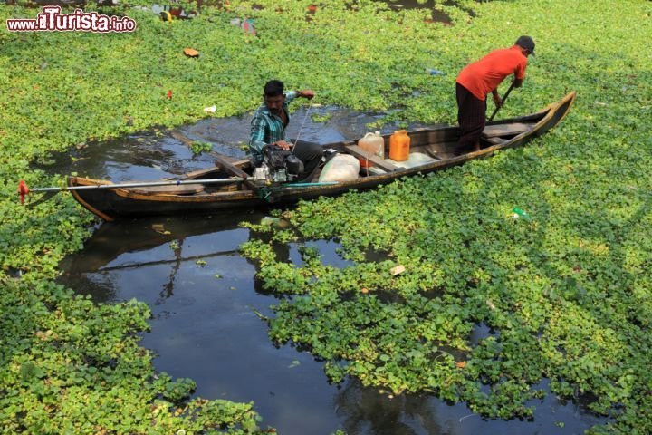 Immagine Una piccola imbarcazione sulle backwaters di Alleppey, India. I trasporti via acqua sono il principale modo di spostarsi in questa zona del Kerala - foto © AJP / Shutterstock.com