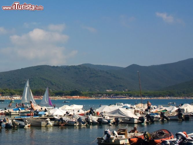 Immagine Imbarcazioni ormeggiate nei pressi della spiaggia di Marina di Campo, isola d'Elba, Toscana - © eZeePics / Shutterstock.com