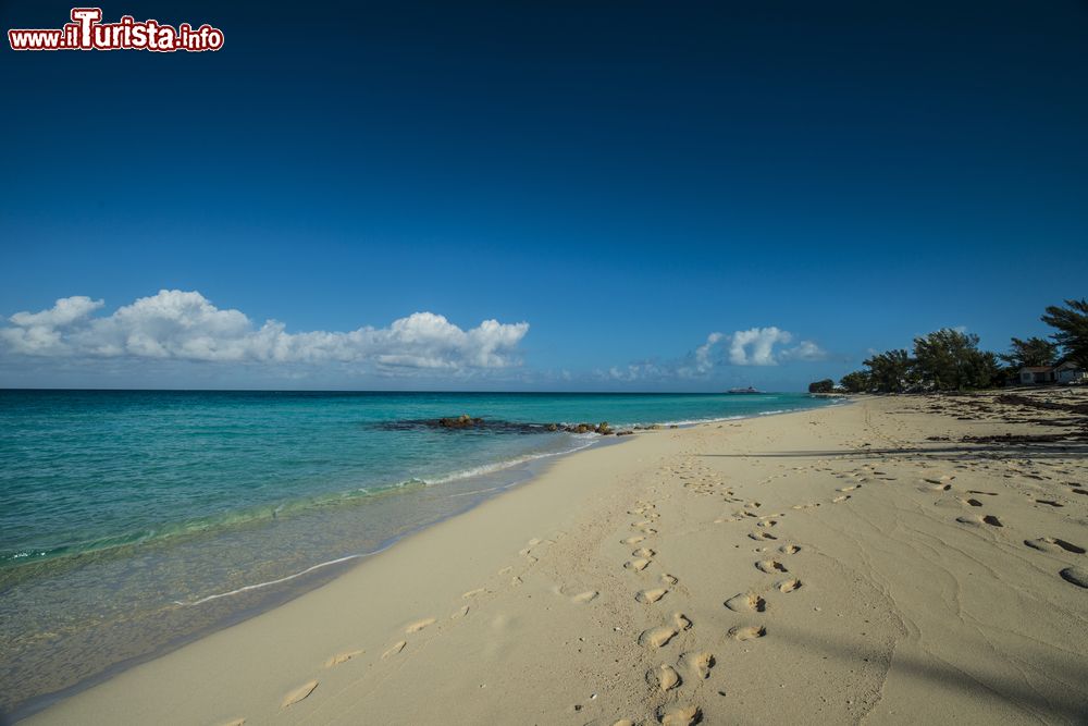 Immagine Impronte sulla sabbia di una spiaggia a Bimini, arcipelago delle Bahamas. Il nome Bimini venne dato dai primi abitanti dell'isola: significa "due isole". Le più grandi sono infatti North Bimini e South Bimini.