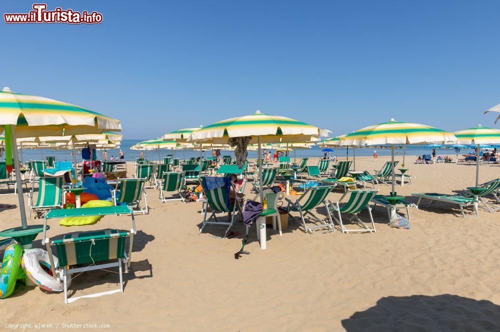 Immagine Inizio d'estate sulla spiaggia di Roseto degli Abruzzi, Abruzzo. Dal 1999 questa località balneare si fregia del titolo di Bandiera Blu - © wjarek / Shutterstock.com