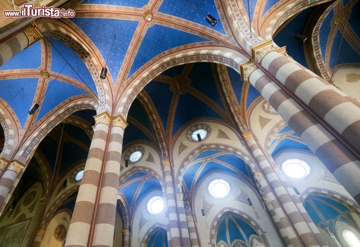 Immagine Interno della Cattedrale di San Lorenzo a Alba, Piemonte, Italia. Le volte a crociera dipinte a cielo stellato furono realizzate nel 1870 da Carlo Costa - © Claudio Giovanni Colombo / Shutterstock.com