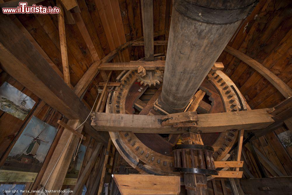 Immagine Interno del mulino a vento De Valk a Leiden, Olanda  - © Maria_Janus / Shutterstock.com