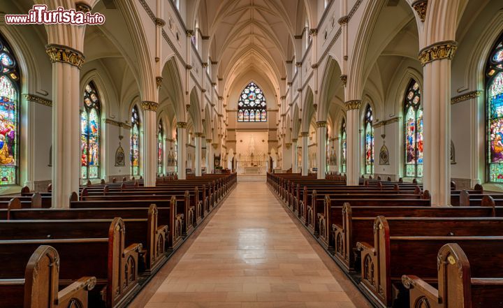 Immagine L'interno della cattedrale cattolica di Saint John the Baptist situata al civico n°120 di Broad Street, a Charleston, South Carolina - foto © Nagel Photography / Shutterstock.com