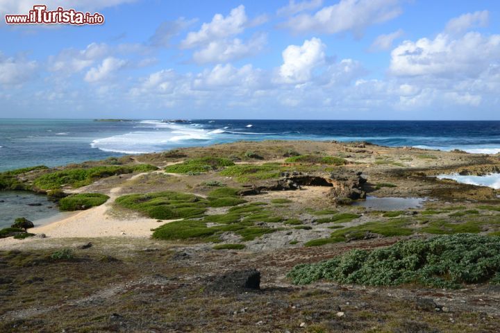 Immagine Isola del faro nell'area di Mahebourg a Mauritius - Un angolo di paradiso protetto dalla barriera corallina e chiazzato di bagliori turichesi © Pack-Shot / Shutterstock.com