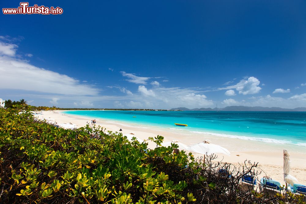 Immagine Isola di Anguilla, Caraibi Orientali. Una spiaggia tropicale su quest'isola dalla forma stretta e allungata: i primi esploratori europei le diedero questo nome perché ricordava le fattezze dell'omonimo pesce.