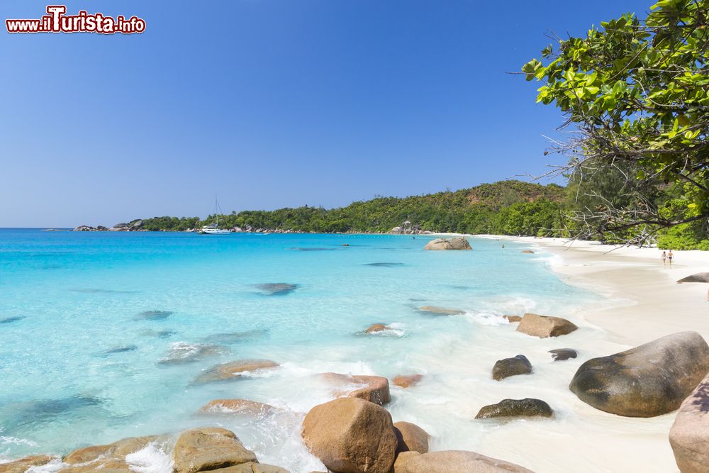 Immagine L'isola di La Digue, Seychelles. Foreste verdi e sabbia bianca e finissima caratterizzano questo territorio che si trova a nord est della punta settentrionale del Madagascar.