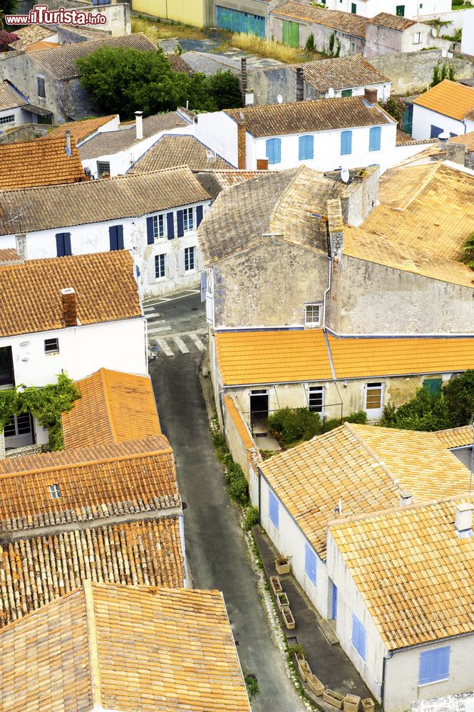 Immagine L'isola d'Oleron vista dall'alto, Francia. Gli abitanti permanenti di questo territorio sono circa 20 mila.