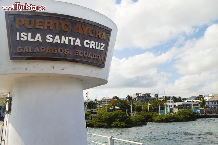 Immagine L'isola di Santa Cruz o Indefatigable è la maggiormente popolata dell'arcipelago della Galapagos. Qui si trova la città di Puerto Ayora ed il quartier generale del Parco Nazionale delle Galapagos, uno dei fiori all'occhiello dell'Ecuador - © Adwo / Shutterstock.com