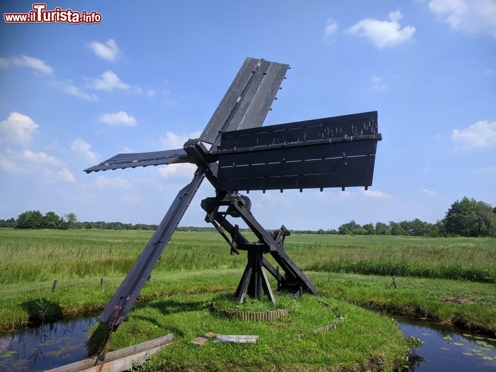 Immagine Tjasker, un piccolo mulino a vento utilizzato per drenaggio: siamo nel parco nazionale di Wieden-Weerribben nella regione di Overijssel, Olanda.