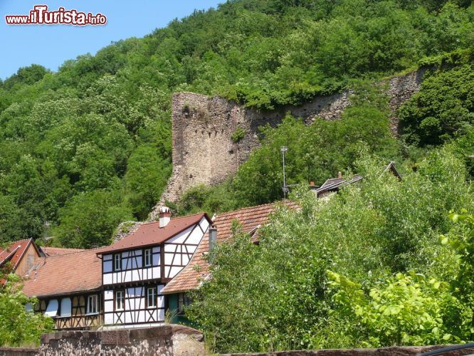 Immagine La cittadina di Kaysersberg, in Alsazia, è situata tra le colline de dipartimento dell'Alto Reno (Haut Rhin) - foto © Volker Rauch / Shutterstock.com