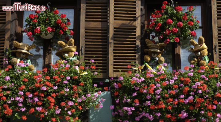 Immagine Il dettaglio di un balcone nella cittadina di Kaysersberg, in Alsazia. Il borgo fu insignito del titolo di "città fiorita" negli anni Ottanta - foto © Pack-Shot / Shutterstock.com